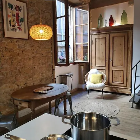 Apartment Authentic Loft With Mezzanine & Exposed Stones Heart Of Lyon