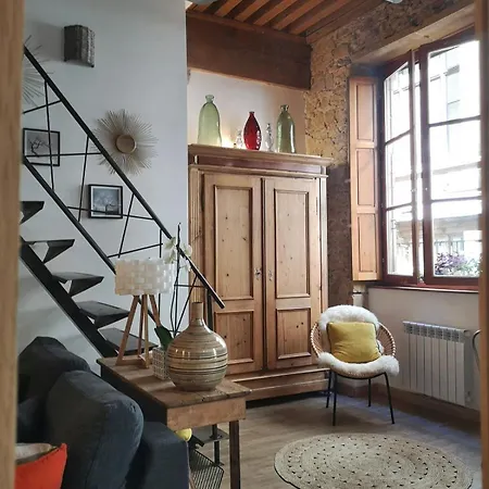 Authentic Loft With Mezzanine & Exposed Stones Heart Of * 리옹